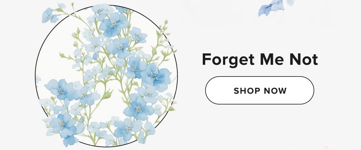 Forget Me Not