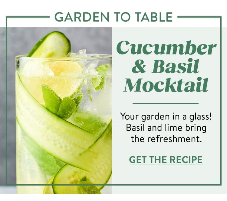 Cucumber Basil Mocktail