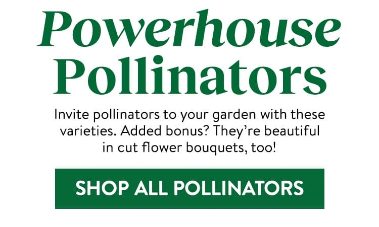 Powerhouse Pollinators