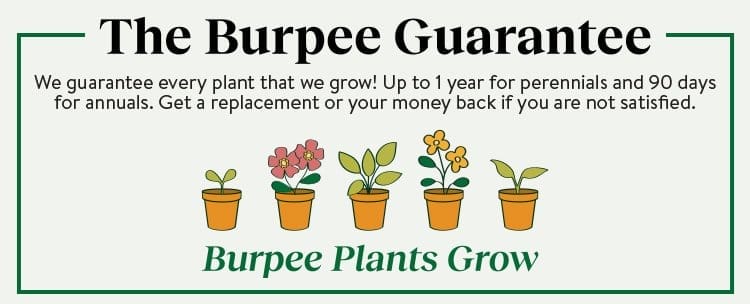 Burpee Return Policy