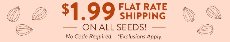 Direct Sow Vegetable Seeds