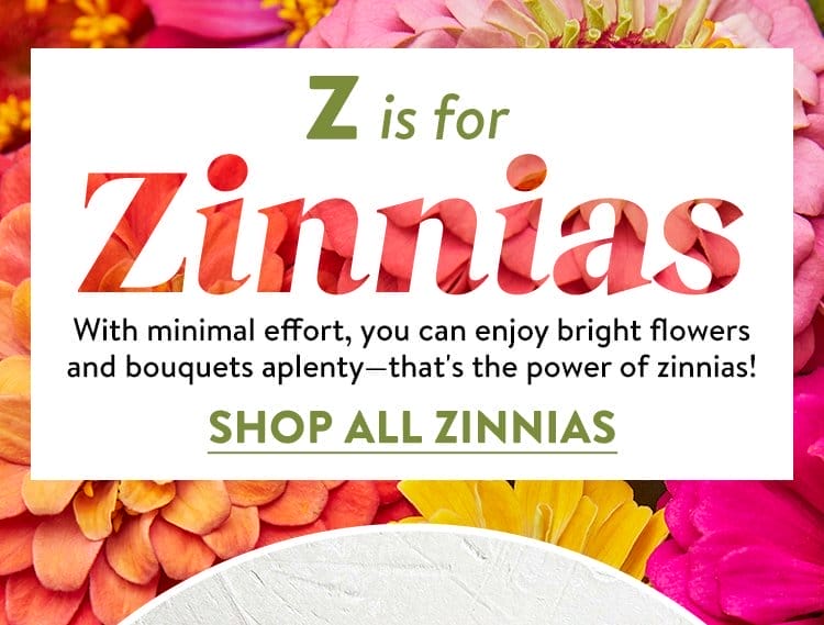 Zinnia Seeds & Plants