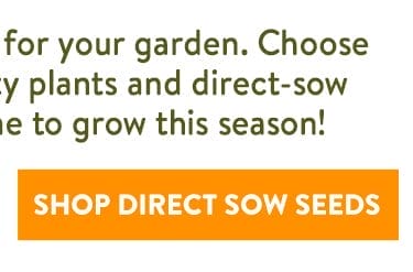 Direct Sow Vegetable Seeds