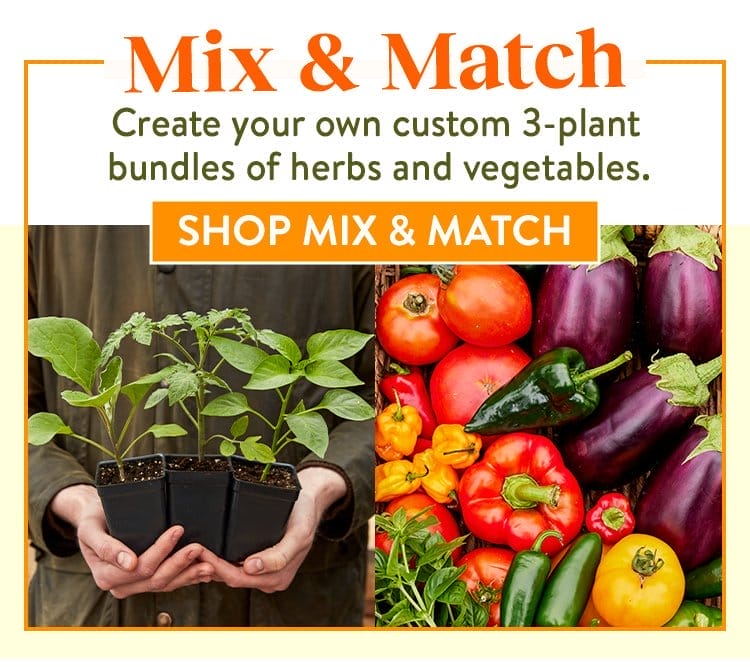 Mix & Match Plant Bundle