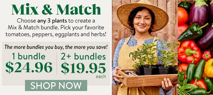 Mix & Match Plant Bundle