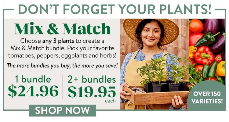 Mix & Match Plant Bundle