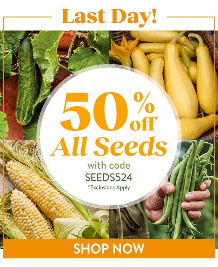 Direct Sow Vegetable Seeds