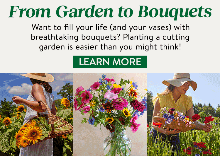 From Garden to Bouquets