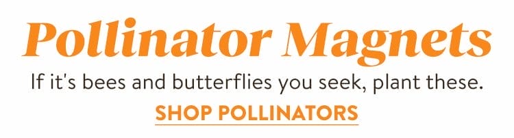 Perennial Pollinators