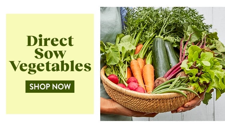 Direct Sow Vegetable Seeds