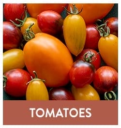 Tomato Seeds & Plants