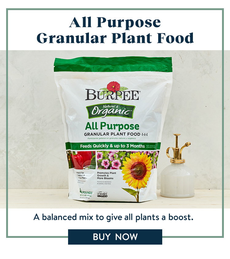 All Purpose Granular Plant Food