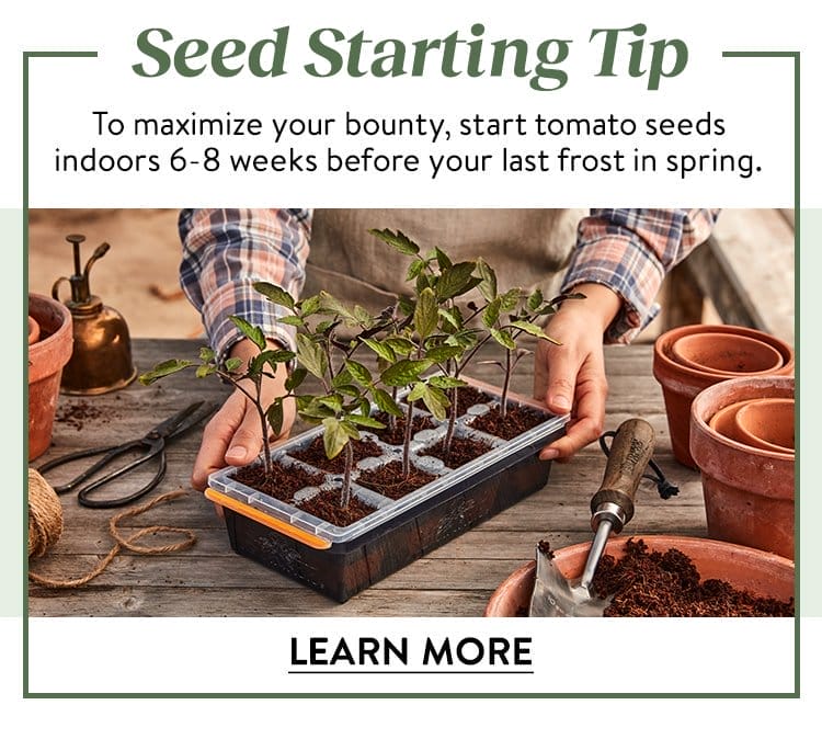 Seed Starting Basics
