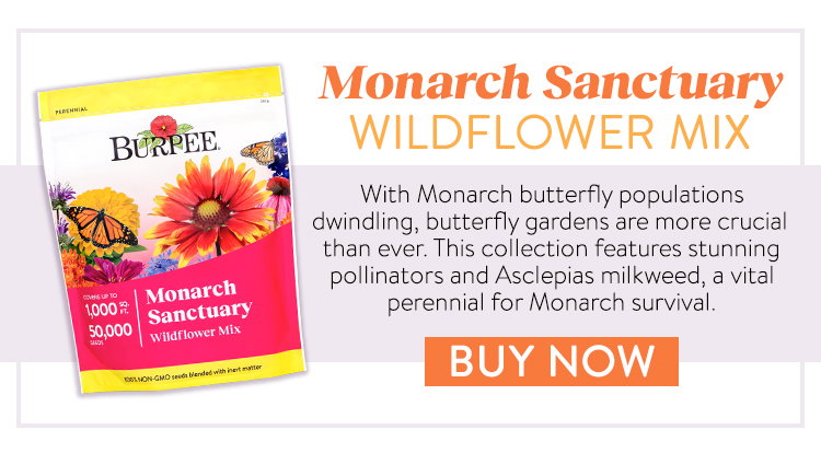 Wildflower Mix, Monarch Sanctuary