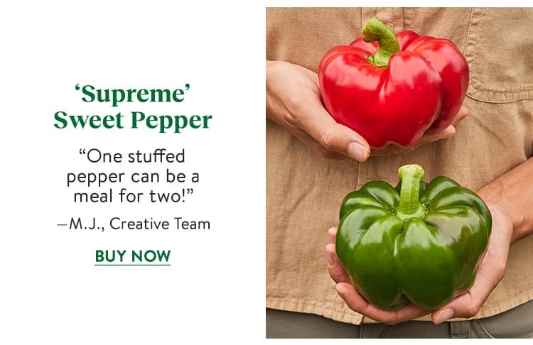 Pepper, Sweet, Supreme Hybrid