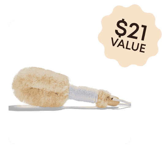 Nordic Dry Brush