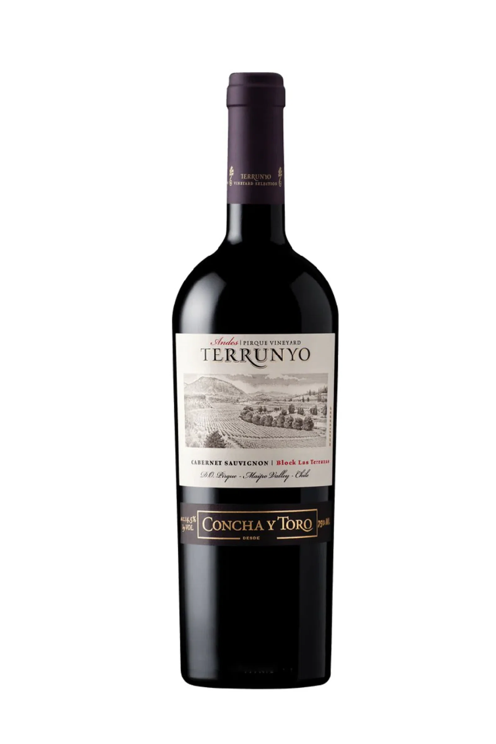 Terrunyo Cabernet Sauvignon 2019 (750 ml)