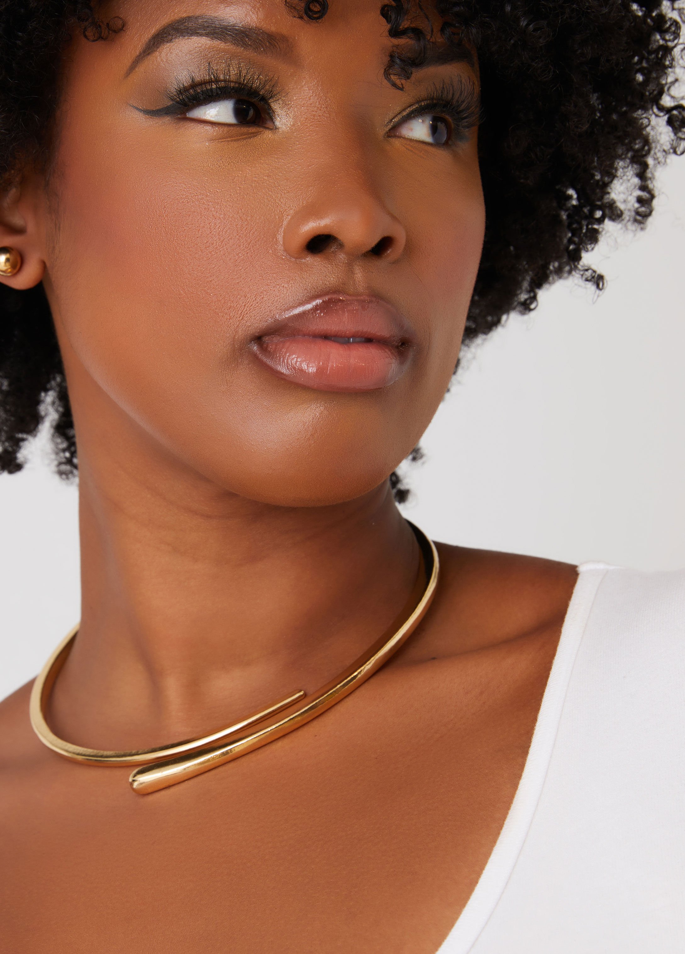 Gold Tone Hinge Collar Set