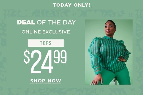 Today only. Deal of the day. Online exclusive. \\$24.99 tops. Shop now