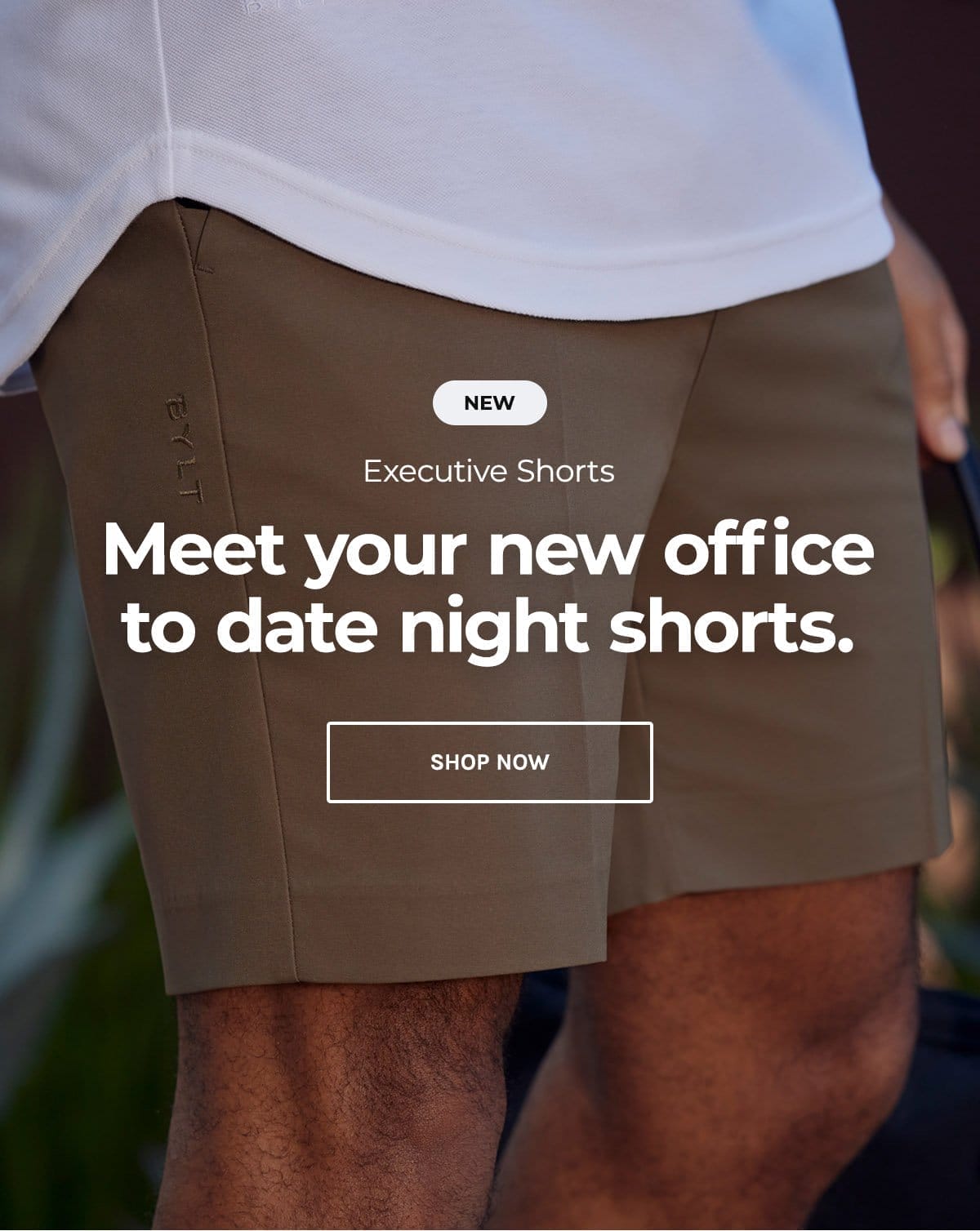 Executive Shorts