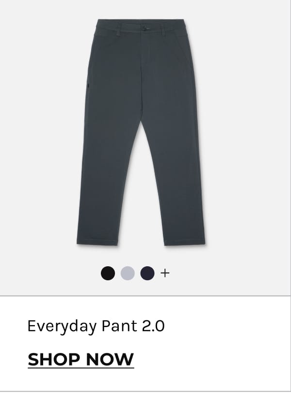 Everyday Pant 2.0