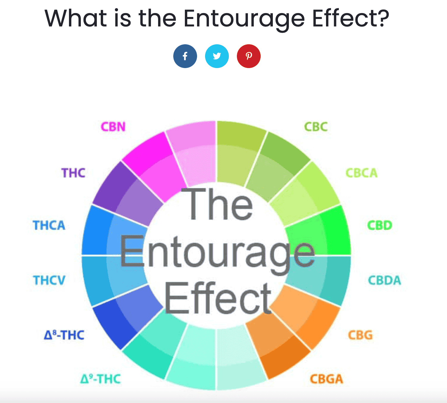 What is The Entourage Effect?