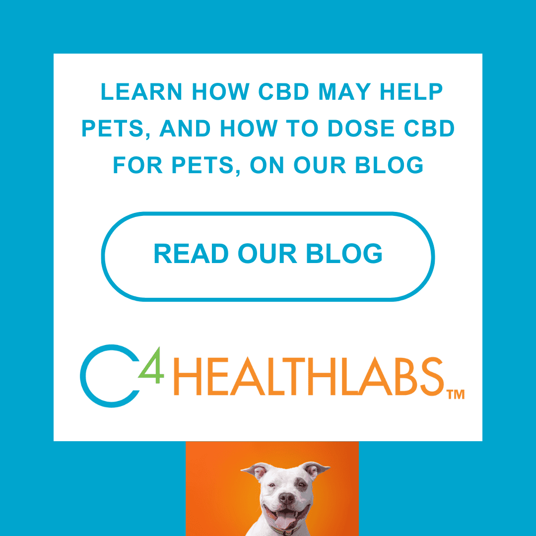 CBD and Pets