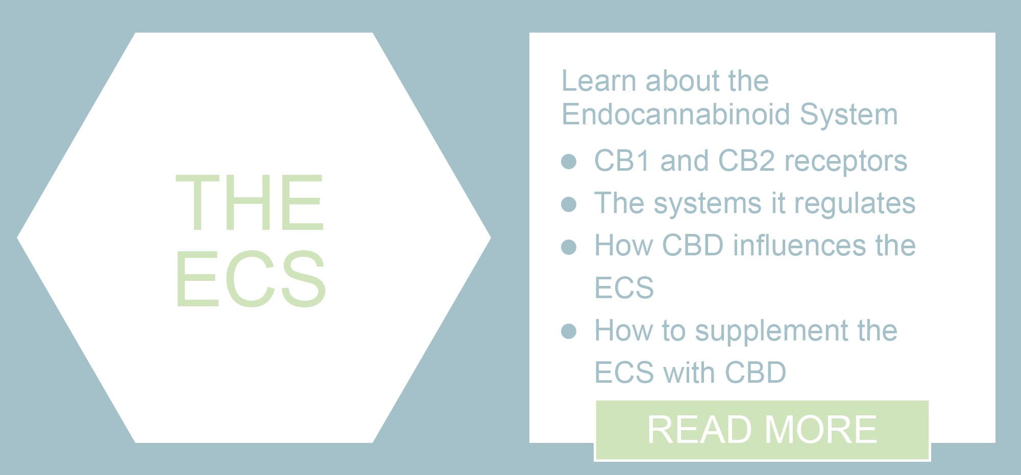 What is the endocannabinoid system: read more