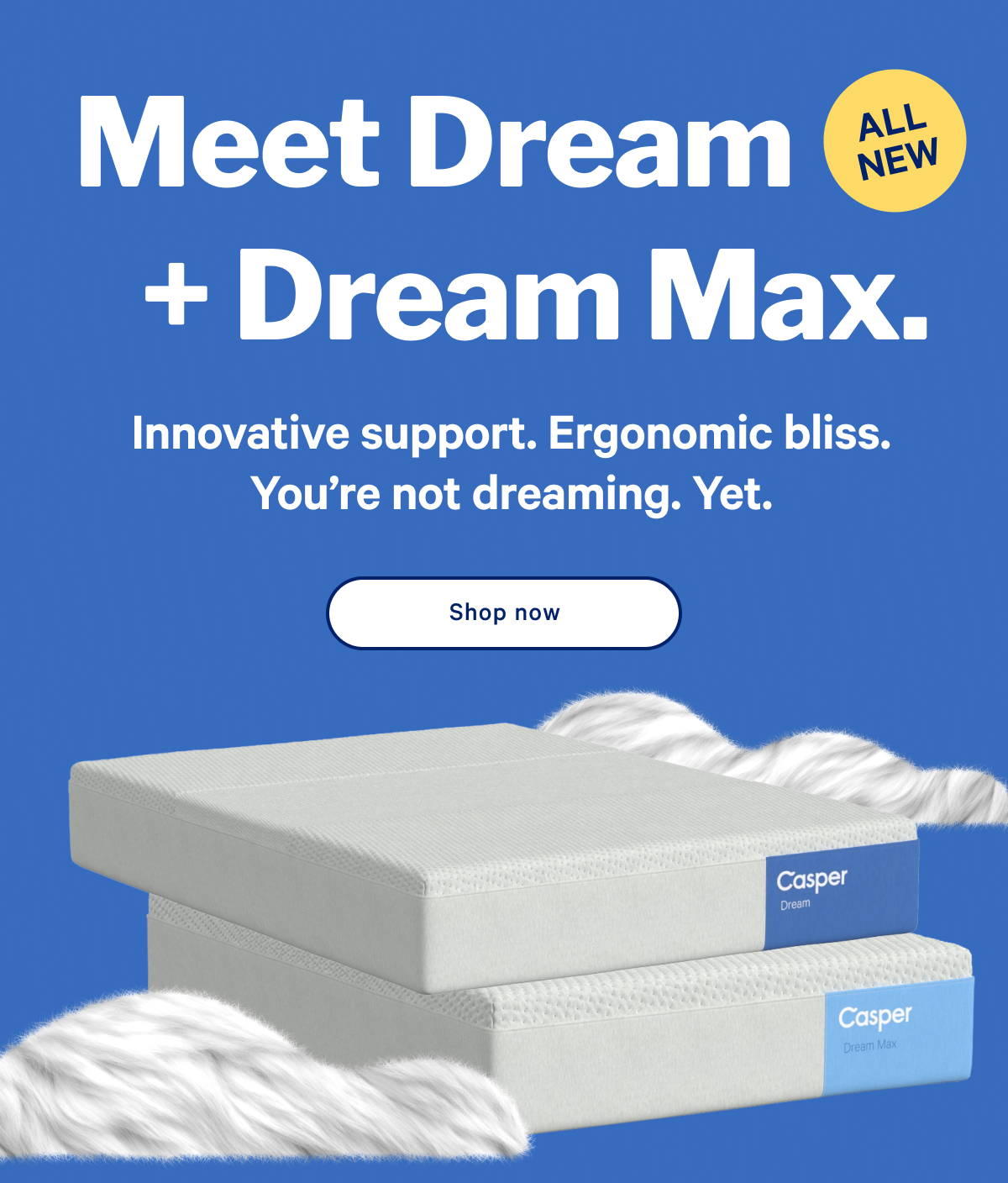 Meet the Dream + Dream Max. >> Innovative support. Ergonomic bliss. You’re not dreaming. Yet. >> Shop now >>