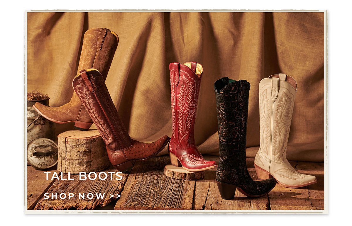 Tall Boots | Shop Now