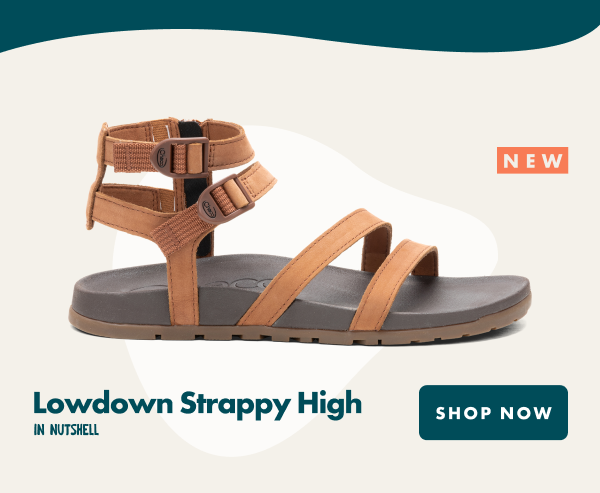 Lowdown strappy high in nutshell - shop now