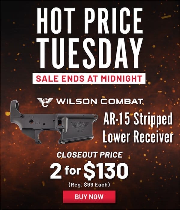 Wilson Combat Lowers - 2 for \\$99