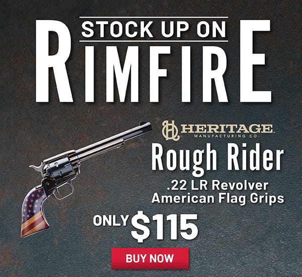 Heritage Rough Rider .22 LR Revolver