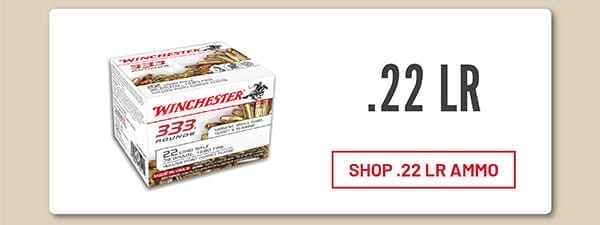 Shop .22 LR Ammo