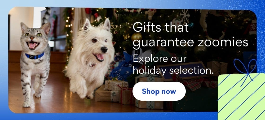 Gifts that guarantee zoomies | Explore our holiday selection.