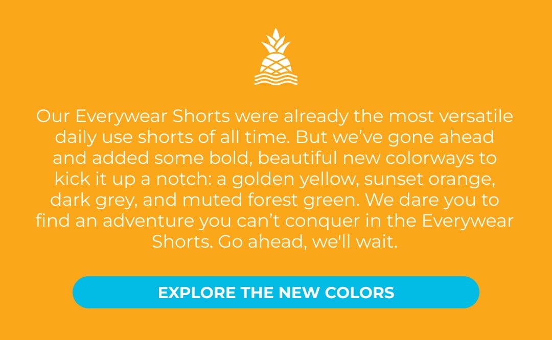 EXPLORE THE NEW COLORS