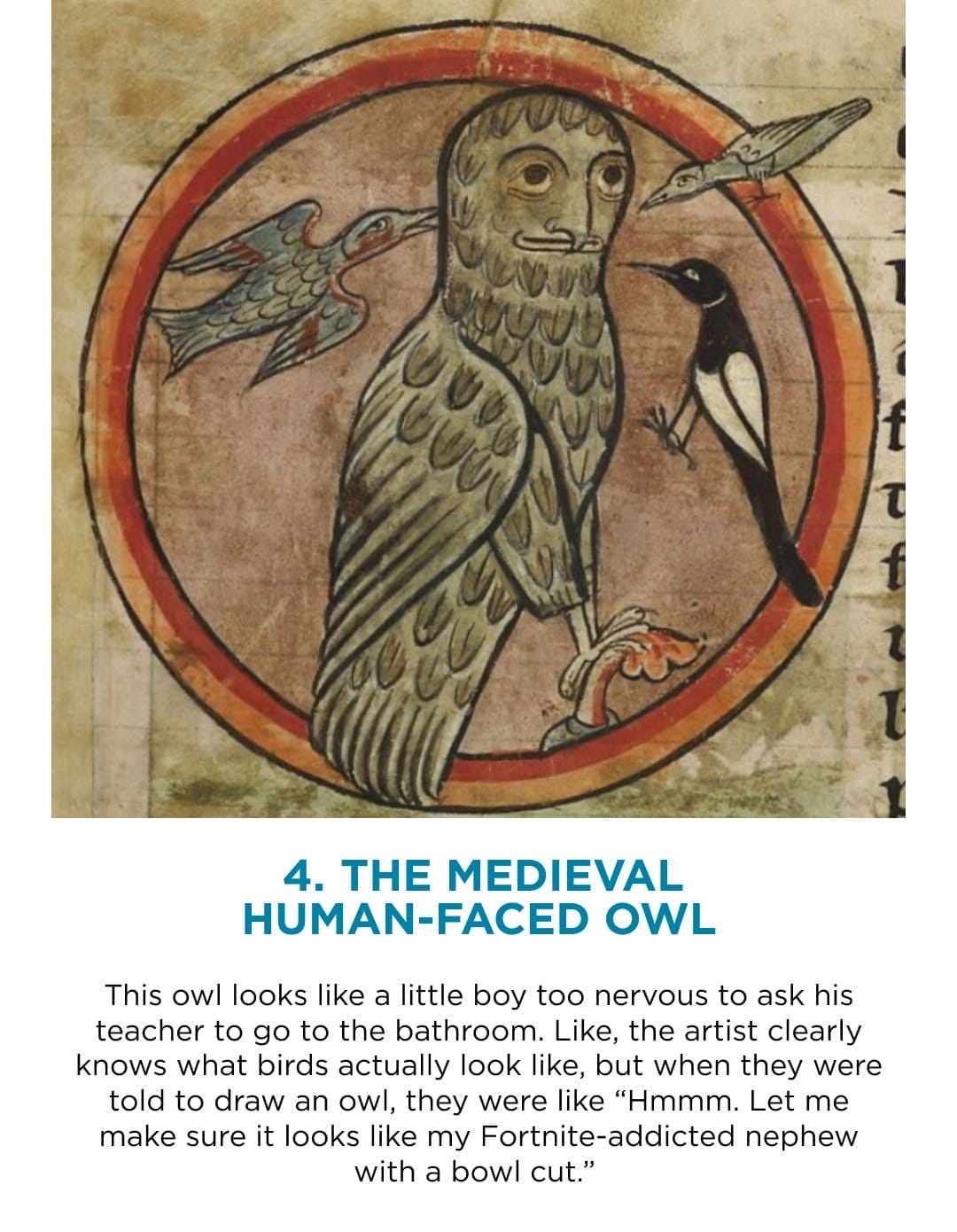 4. The Medieval Human-Faced Owl