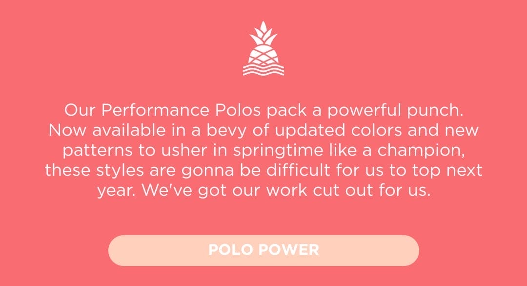 POLO POWER