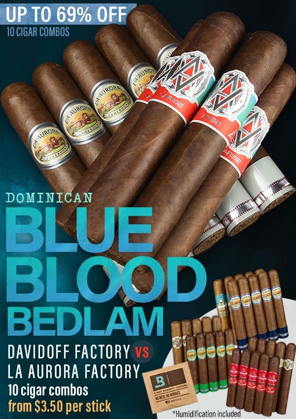 Dominican Blue Blood Bedlam