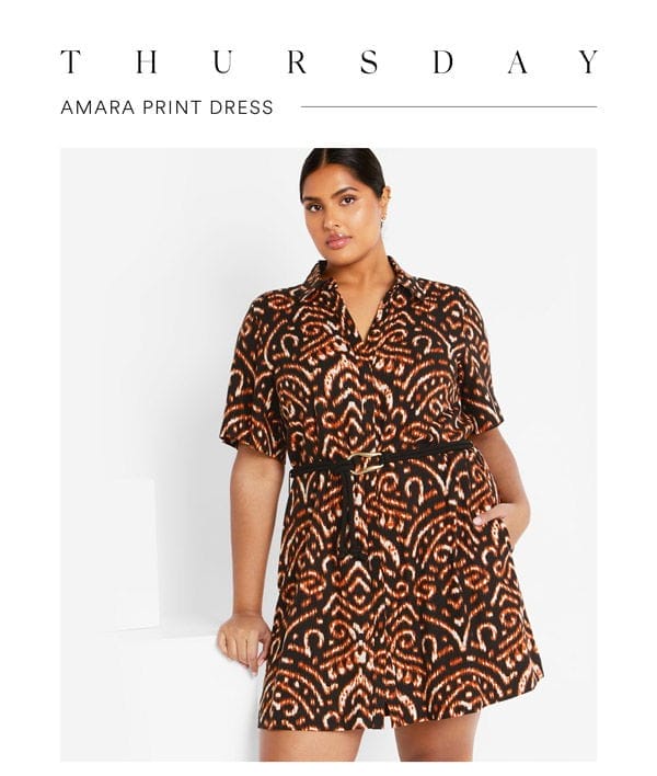 Shop the Amara Print Dress