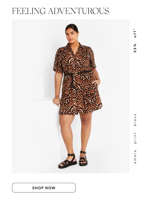 Shop the Amara Print Dress