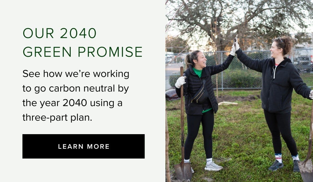 Our 2040 green promise