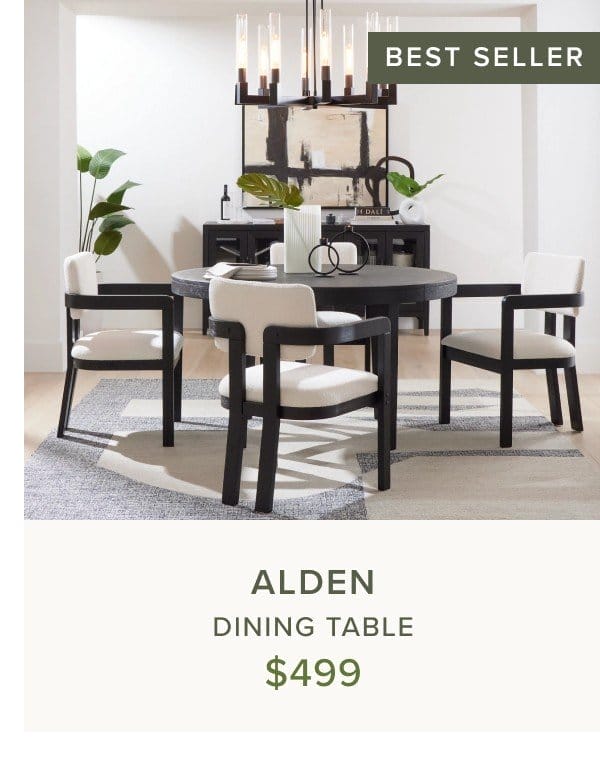 Alden Dining Table \\$499