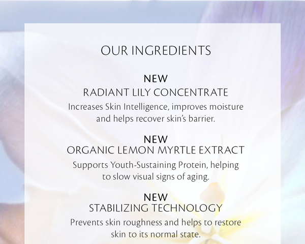 Discover Our Ingredients