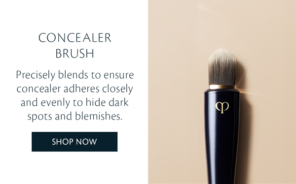 Concealer Brush