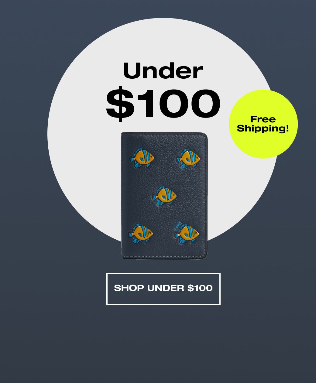 Under \\$100. SHOP UNDER \\$110. Free shipping