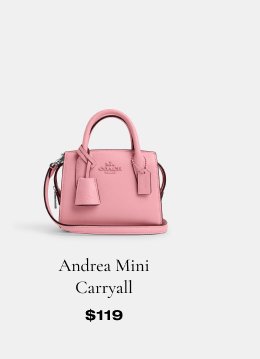 Andrea Mini Carryall \\$119