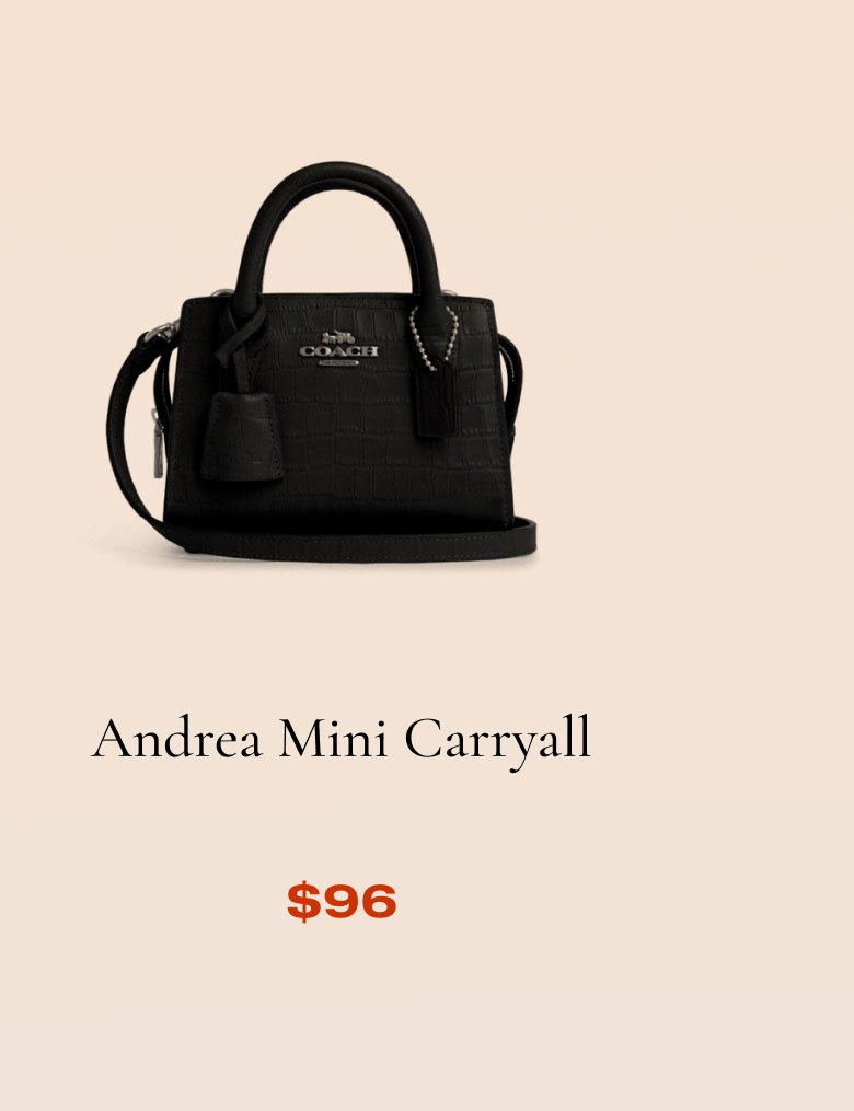 Andrea Mini Carryall \\$96