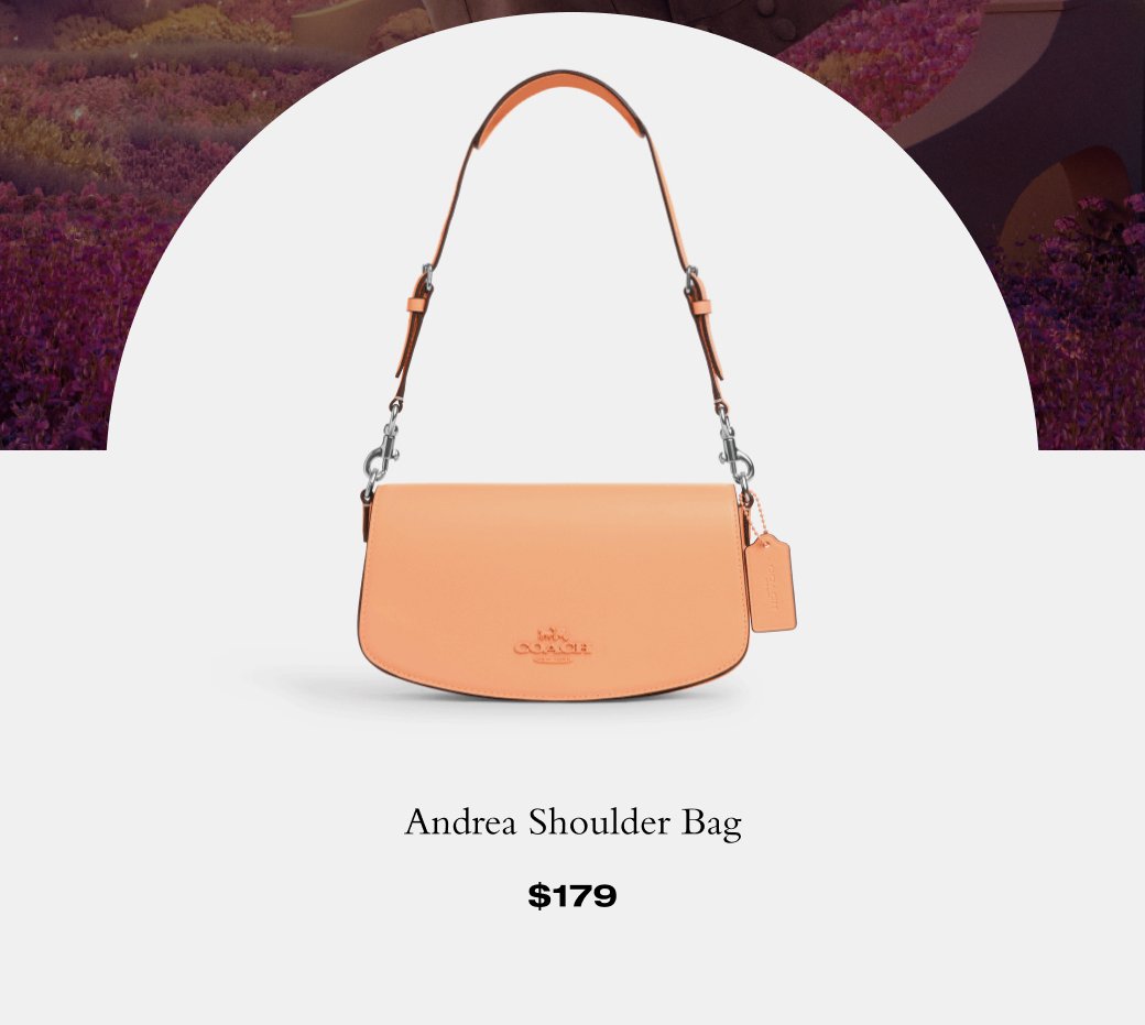 Andrea shoulder bag \\$179