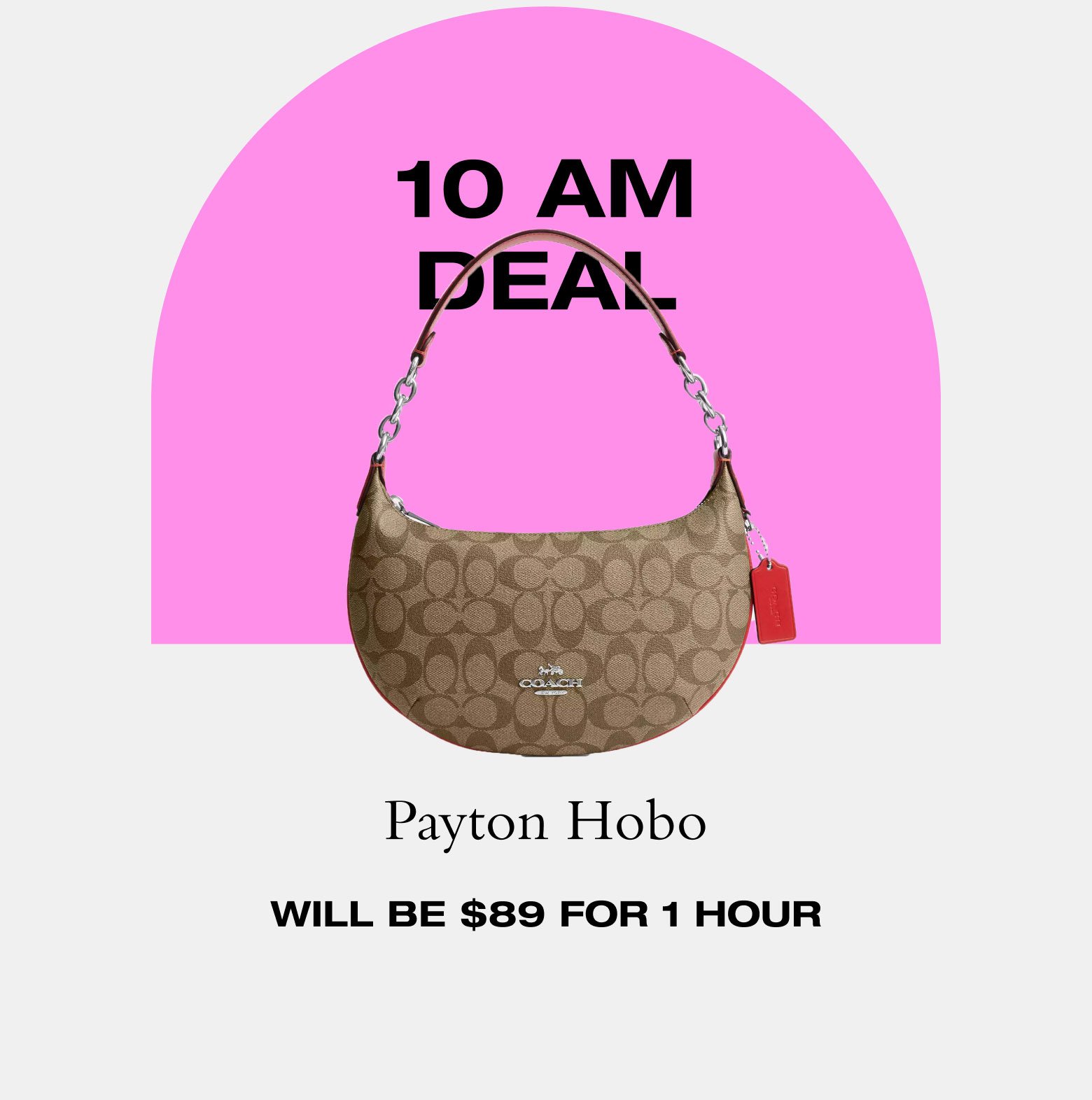 10 AM Deal. Payton Hobo. WILL BE \\$89 FOR 1 HOUR